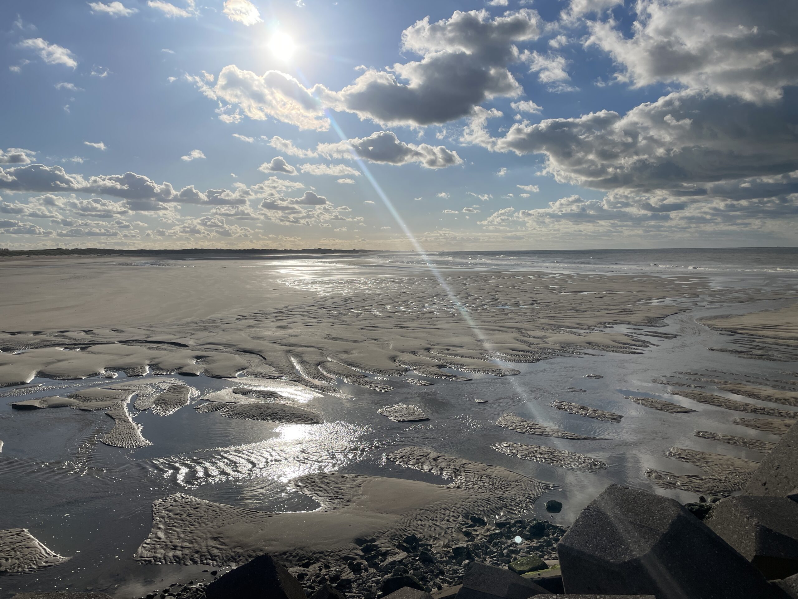 natuur 6